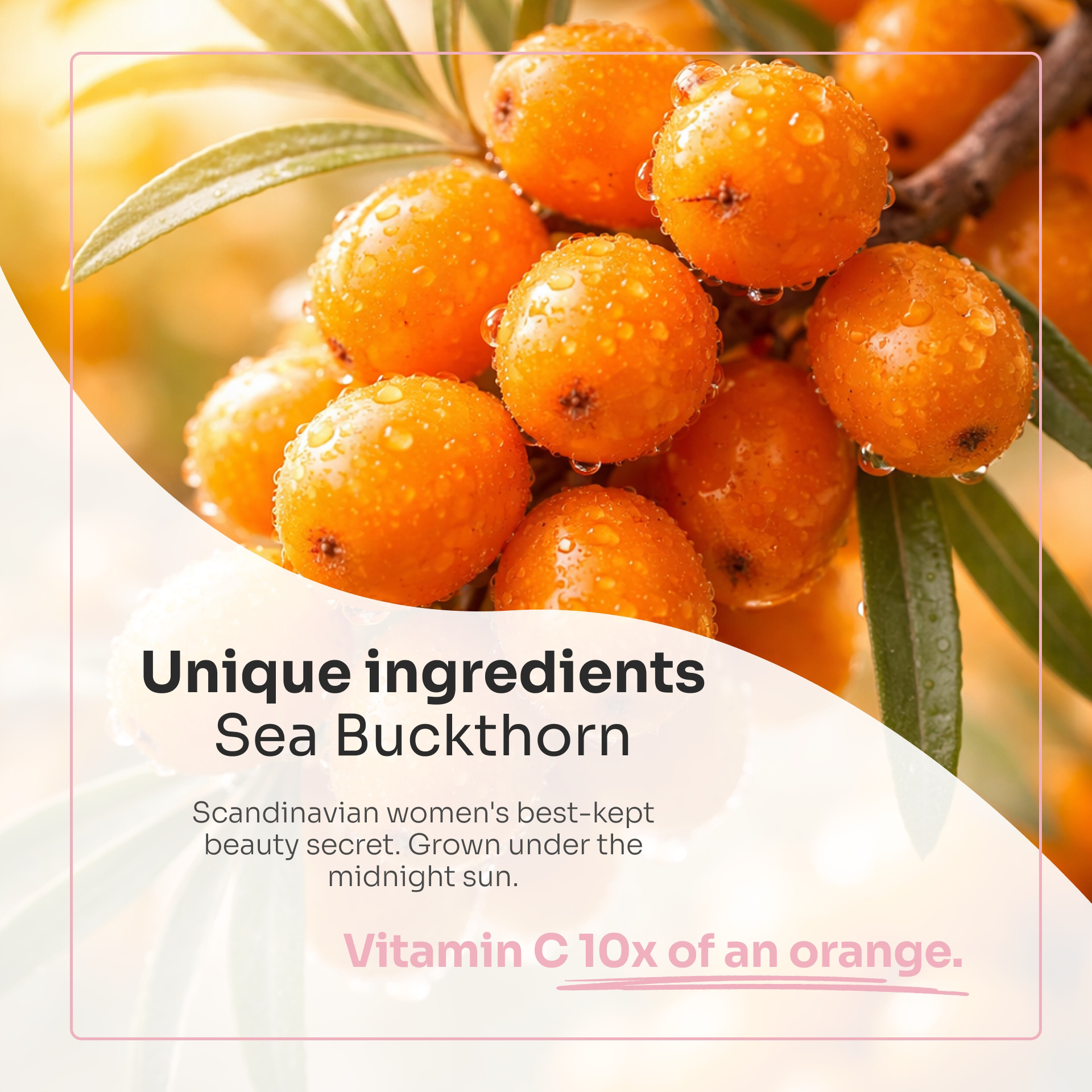 Trial size: #1 Best Seller - The 4-in-1 Skin Transformer: SUPERFOOD