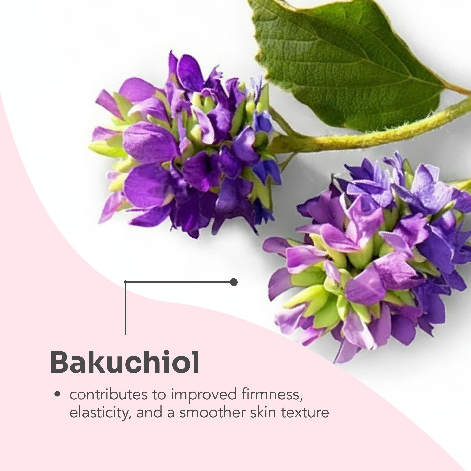 AGE-DEFYING hand cream