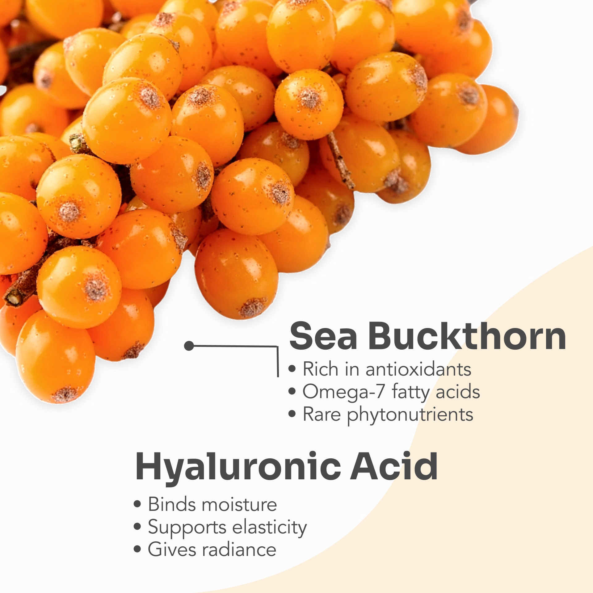 Dr.Stine COLLAGEN with Sea Buckthorn supplement